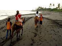 �F���M��