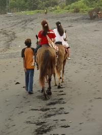 �F���M��